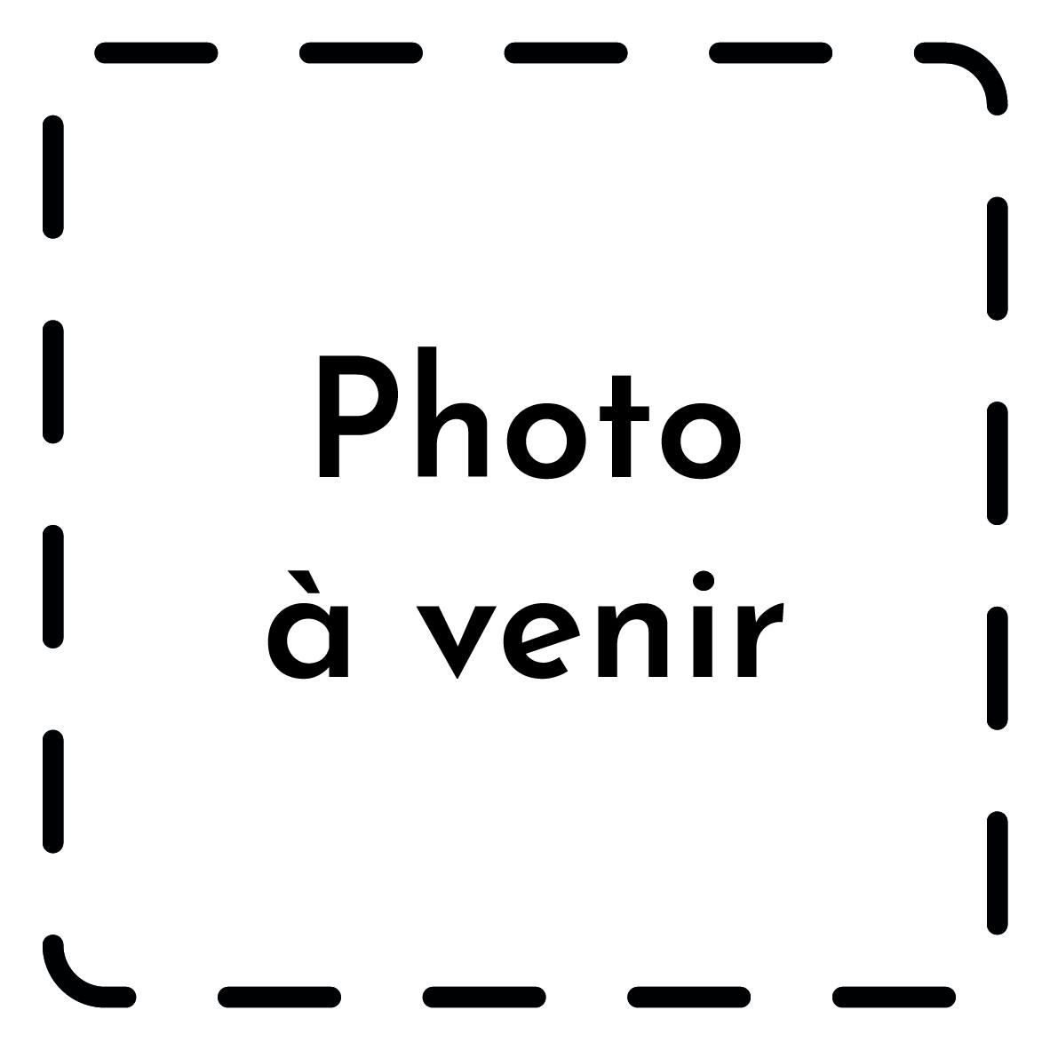 ACHILLEE PTARMICA Le Jardin Mellifere